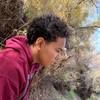 jay_jayr111